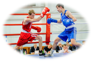 Двое юных белгородцев стали чемпионами округа по боксу. Новости спорта  Белгорода